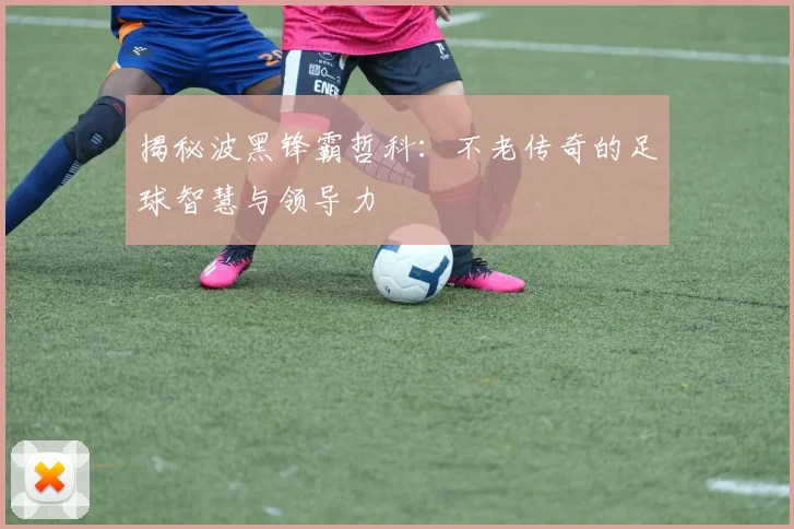 揭秘波黑锋霸哲科：不老传奇的足球智慧与领导力