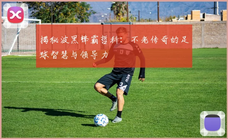 揭秘波黑锋霸哲科：不老传奇的足球智慧与领导力